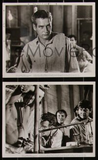 5r1857 COOL HAND LUKE 17 8x10 stills 1967 Paul Newman, George Kennedy & Dennis Hopper!