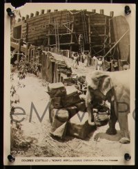 5r1872 NOAH'S ARK 10 8x10 stills 1929 Curtiz, Costello, images of scenes with huge cast and sets!