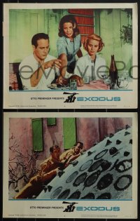 5r1577 EXODUS 8 LCs 1961 Otto Preminger, Paul Newman, Eva Marie Saint, Sal Mineo, Jill Haworth!