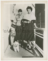 5t1354 ELIZABETH TAYLOR/LESLIE CARON 8x10 still 1960s walking their dogs on the MGM studio lot!