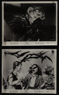 5t1425 BIRDS 4 8x10 stills 1963 Alfred Hitchcock, great images of Tippi Hedren & Rod Taylor, kids!