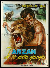 5y0606 KING OF THE JUNGLE Italian 2p 1969 best Tarantelli artwork of Tarzan rip-off wrestling lion!