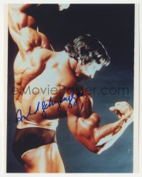 5y0114 ARNOLD SCHWARZENEGGER signed color 8x10 REPRO photo 1980s showing off his incredible physique!