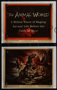 5y1778 ANIMAL WORLD 12 color 8x10 stills 1956 Harryhausen, wonderful dinosaur special fx scenes + art