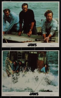 5y1815 JAWS 4 8x10 mini LCs R1979 Scheider, Robert Shaw, Dreyfuss, Spielberg's shark classic!