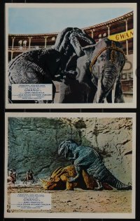 5y1565 VALLEY OF GWANGI 8 color English FOH LCs 1969 James Franciscus, Gila Golan, Harryhausen fx!