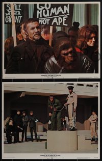 5y0964 CONQUEST OF THE PLANET OF THE APES 8 LCs 1972 Roddy McDowall, the revolt of the apes!