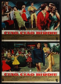 5z0883 BYE BYE BIRDIE 9 Italian 18x27 pbustas 1963 Ann-Margret, Dick Van Dyke & Janet Leigh!