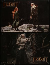 5z0898 HOBBIT: THE DESOLATION OF SMAUG 6 Italian 16x24 pbustas 2013 Peter Jackson, cast images!