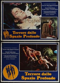 5z0899 INVASION OF THE BODY SNATCHERS 6 Italian 18x21 pbustas 1979 Philip Kaufman sci-fi!