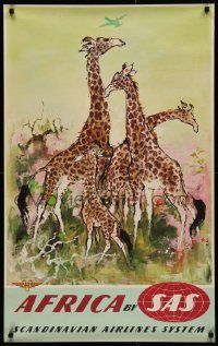 5z0136 SAS AFRICA 25x39 Danish travel poster 1950s great Otto Nielsen wildlife art of giraffes!