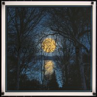 6a0793 DAN MCCARTHY signed #456/633 19x20 art print 2011 Yellow Moon On the Rise, first edition!