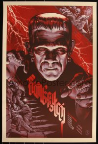 6a0276 FRANKENSTEIN #261/430 24x36 art print 2012 Mondo, art by Martin Ansin, regular edition!