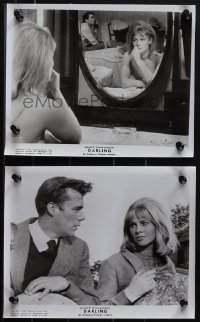 6b1674 DARLING 2 8x10 stills 1965 Schlesinger, great images of Julie Christie, Dirk Bogarde!