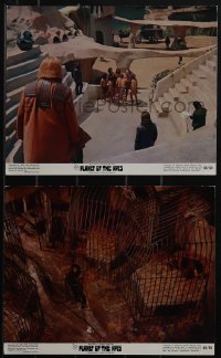 6b1720 PLANET OF THE APES 2 color 8x10 stills 1968 Charlton Heston, Whitmore, Hunter, McDowall!