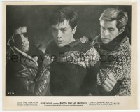 6b1402 ROCCO & HIS BROTHERS 8x10 still 1961 angry Alain Delon's friends restrain him, Visconti!