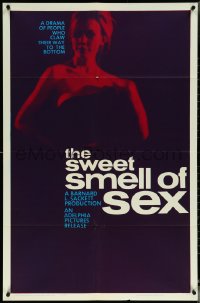 6b1037 SWEET SMELL OF SEX 1sh 1965 'lost' sexploitation melodrama directed by Robert Downey Sr.!