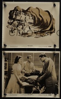 6p1443 BLOB 15 8x10 stills 1958 great images of young Steve McQueen with Aneta Corseaut, poster art!