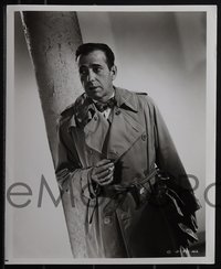 6p1480 HUMPHREY BOGART 6 8x10 stills 1930s-1950s cool portrait images of the star!