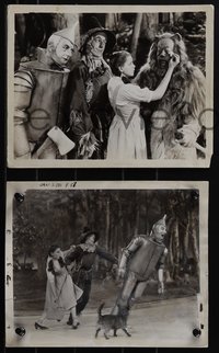 6p1526 WIZARD OF OZ 4 8x10 stills 1939 great images of Judy Garland, Bolger, Haley, Lahr & Toto too!