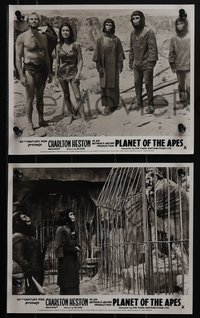 6p1407 PLANET OF THE APES 8 English FOH LCs 1968 captive Charlton Heston & Linda Harrison!