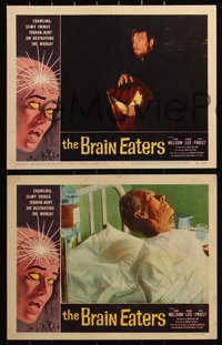 6p0763 BRAIN EATERS 8 LCs 1958 AIP, Edwin Nelson, Joanna Lee, Alan Frost, cool horror border art!