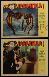 6p0852 TARANTULA 6 LCs 1955 Jack Arnold, great images of the 100 foot high spider monster & more!