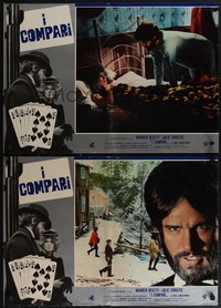 6r0543 McCABE & MRS. MILLER 8 Italian 18x26 pbustas 1971 great images of Warren Beatty!
