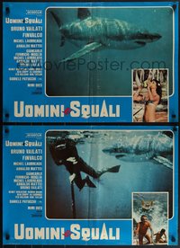 6r0568 SHARKS & MEN 6 Italian 18x26 pbustas 1976 Vailati, different images of great white shark!
