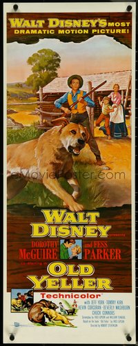 6w0752 OLD YELLER insert 1957 Dorothy McGuire, Fess Parker, art of Disney's classic canine!