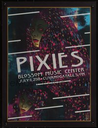6w0824 PIXIES 18x24 music poster 2018 art by Brian Ewing, Cuyahoga Falls, OH, regular edition!