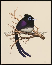 6x0929 MIKE MITCHELL signed #40/500 11x14 art print 2018 Fat Birds, Japanese Paradise Flycatcher!