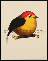 6x0956 MIKE MITCHELL signed #193/300 8x10 art print 2019 Fat Birds, Wire-Tailed Manakin!