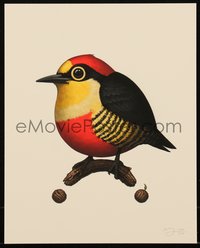 6x0959 MIKE MITCHELL signed #250/350 8x10 art print 2020 Fat Birds, Yellow-Fronted Woodpecker!