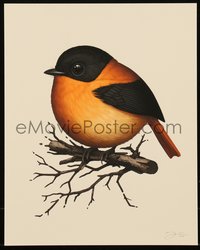 6x0960 MIKE MITCHELL signed #311/500 8x10 art print 2019 Fat Birds, Black-and-Orange Flycatcher!