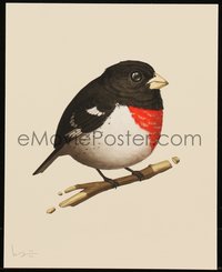 6x0953 MIKE MITCHELL signed #103/250 8x10 art print 2015 Fat Birds, Rose-Breasted Grosbeak!