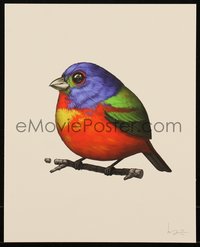 6x0957 MIKE MITCHELL signed #196/550 8x10 art print 2016 Fat Birds, Painted Bunting!