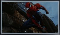 6x0779 SPIDER-MAN #22/75 14x24 art print 2010s Marvel Comics, art of him swinging w/arm below feet!