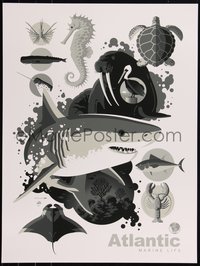 6x0663 TOM WHALEN signed #2/15 18x24 art print 2023 Atlantic Marine Life, greyscale edition!