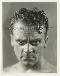 6y1605 IRISH IN US 8x10 still 1935 best super c/u of sweaty boxer James Cagney by Bert Longworth!