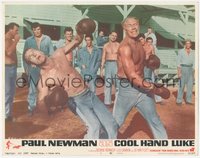 6y0736 COOL HAND LUKE LC #1 1967 Paul Newman gets a merciless beating boxing with George Kennedy!