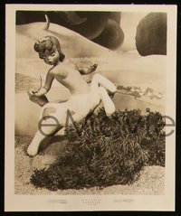 6y1530 FANTASIA 5 8x10 stills 1941 wonderful different scenes including topless female centaur!