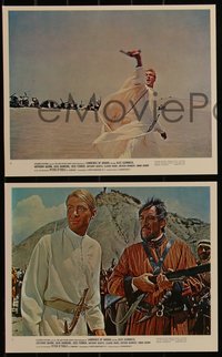 6y1551 LAWRENCE OF ARABIA 3 color 8x10 stills 1963 Peter O'Toole, Anthony Quinn, Claude Rains!