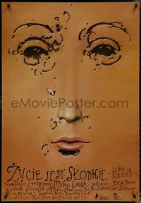 6z0265 LIFE IS SWEET Polish 27x39 1994 cool different Walkuski art of worms making holes in face!