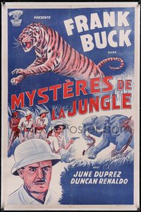 7a0303 TIGER FANGS linen Moroccan 1943 Frank Buck, great art of big cat, elephants & hunters!