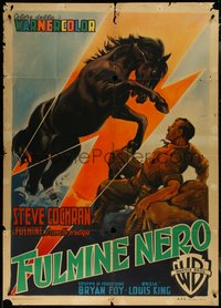 7b0146 LION & THE HORSE Italian 1p 1952 different art of Steve Cochran & Wildfire, ultra rare!