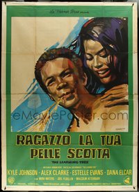 7b0117 LEARNING TREE Italian 2p 1970 different Manfredo Acerbo art, directed by Gordon Parks, rare!