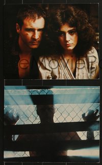 7b1584 BLADE RUNNER 3 color 8x10 stills 1982 Harrison Ford, Hannah, Young, Hauer, Ridley Scott!