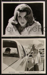 7b1514 KITTEN WITH A WHIP 20 8x10 stills 1964 cool images of sexy bad Ann-Margret & John Forsythe!