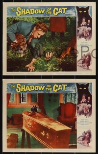 7b1210 SHADOW OF THE CAT 8 LCs 1961 sexy Barbara Shelley, Andre Morell, stare into its eyes!